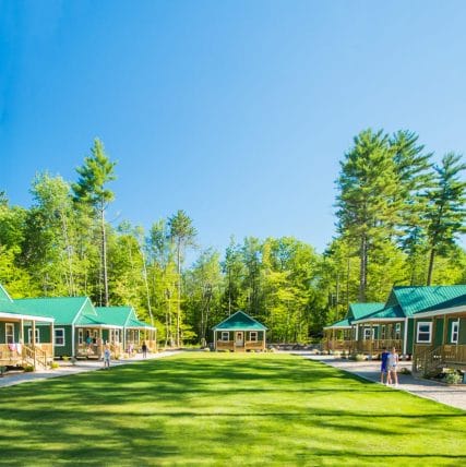 green cabins in front of trees